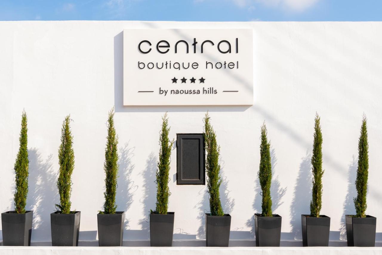 Central Boutique Hotel By Naoussa Hills Adults Only Exteriér fotografie
